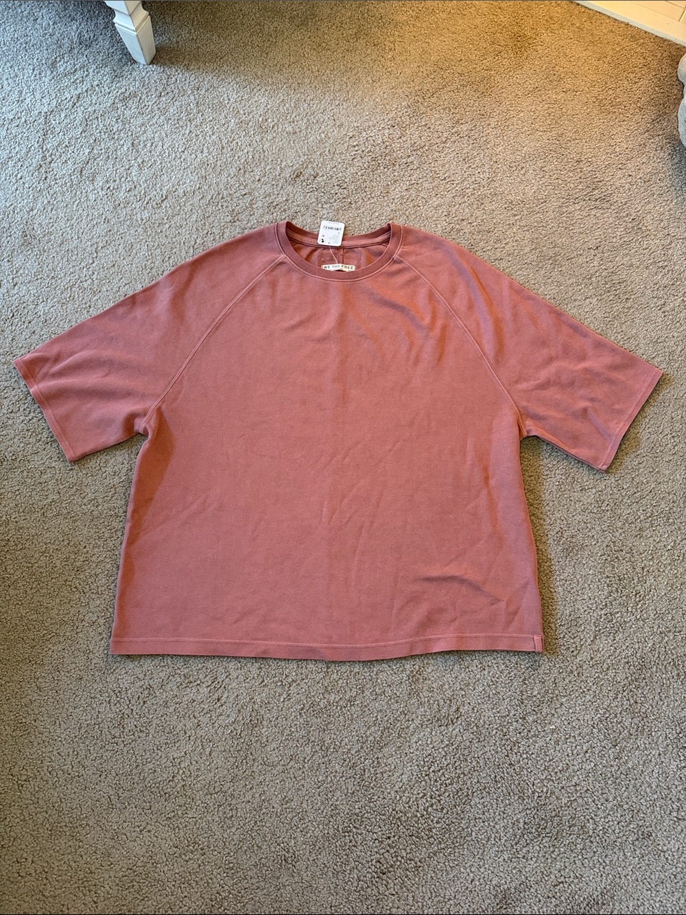 Free People Oversized Sweatshirt Tee NWT